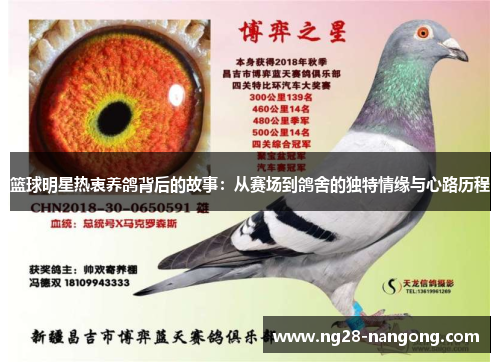 篮球明星热衷养鸽背后的故事：从赛场到鸽舍的独特情缘与心路历程